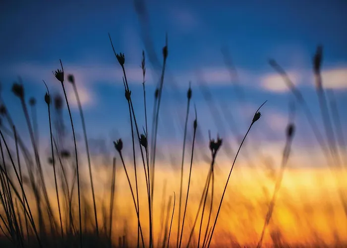 3 Bedroom In Privlaka (Zadar)